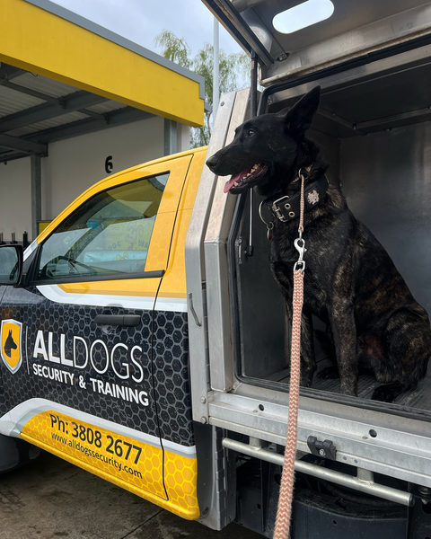 ALLDOGS Security and Training branded vehicle with protection dog — ALLDOGS ELITE Queensland